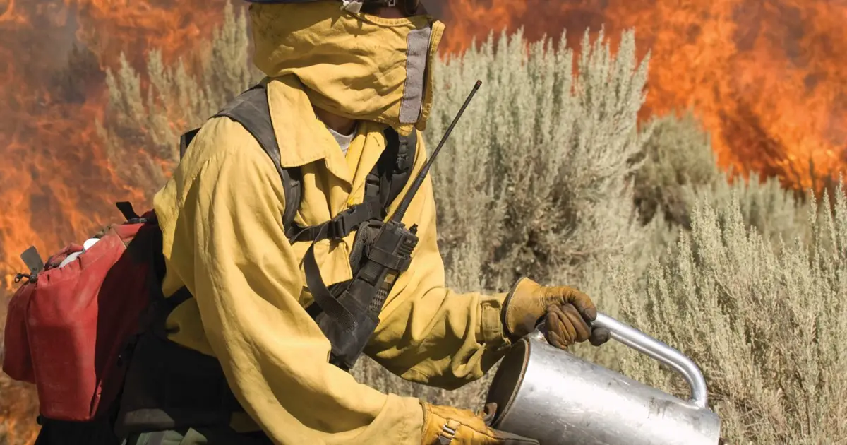 9781284042115_cvrf_300cmy-(1)