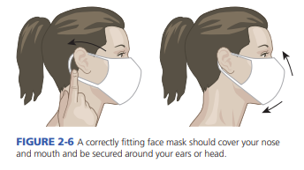 Mask Guidlines